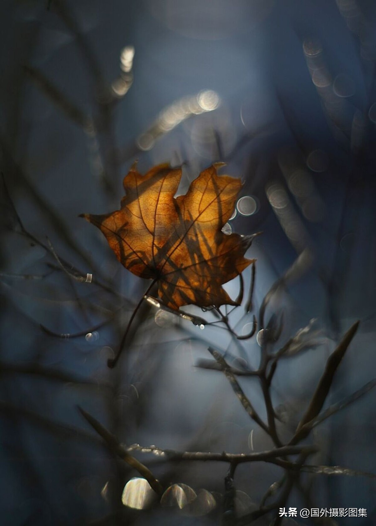 秋天最美大自然图片,春天最美的三十六张照片