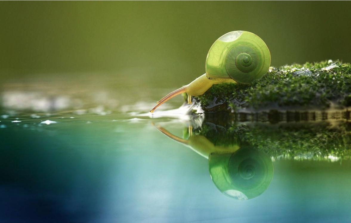 我才明白什么叫物极必反,物极必反这个道理谁都知道