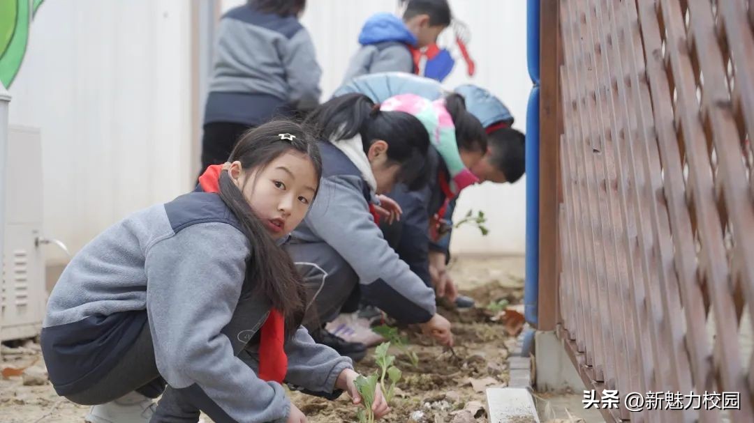 劳动创造幸福创意活动小学,劳动创造美好生活小学活动