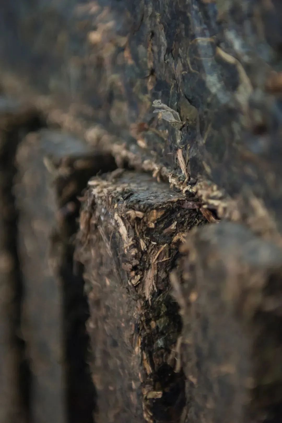 湖北茶的特点,楚国茶文化