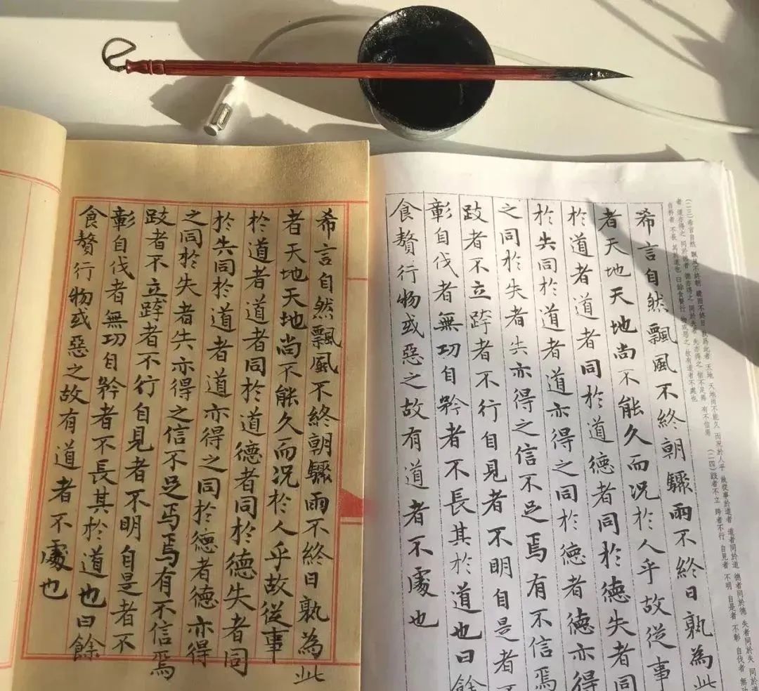 36岁不婚不育，她裸辞回家：吃住全免，太爽了