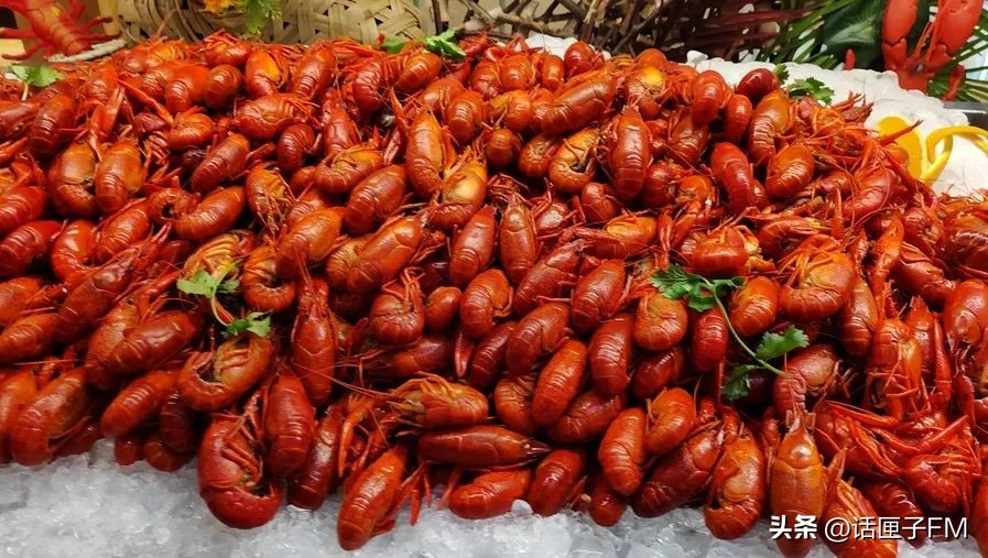 又到了“吃虾季”，有人畅吃三公斤，有人却吃出“病危通知”，到底咋回事？