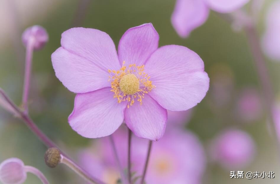 如果相爱的人不能再爱了怎么办,如果相爱的人不能在一起该怎么办