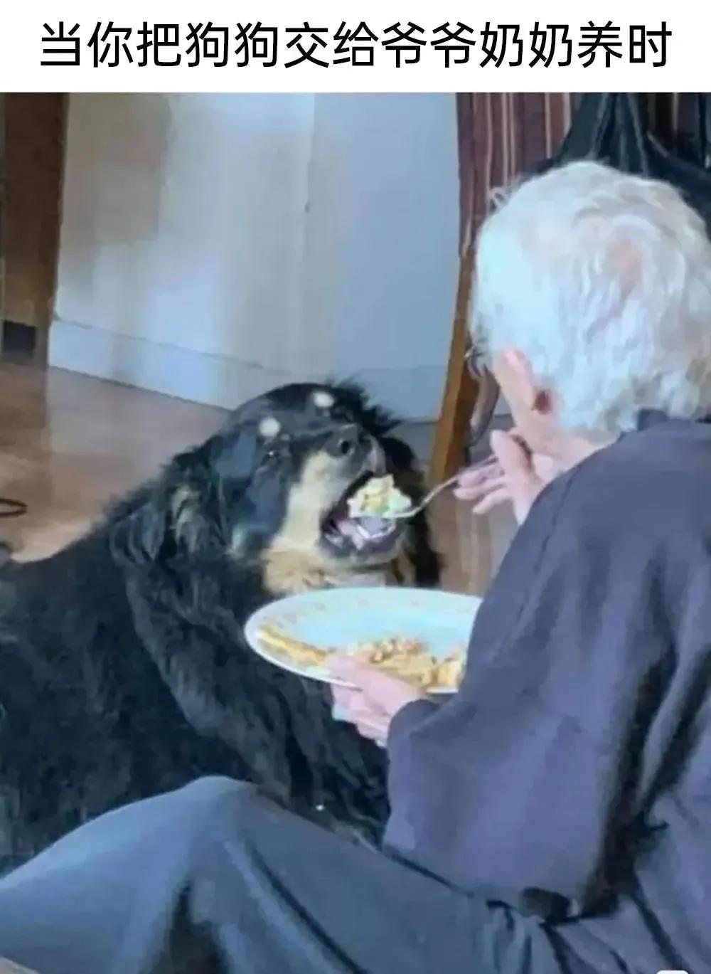 meme搞笑图,月初月末搞笑图片