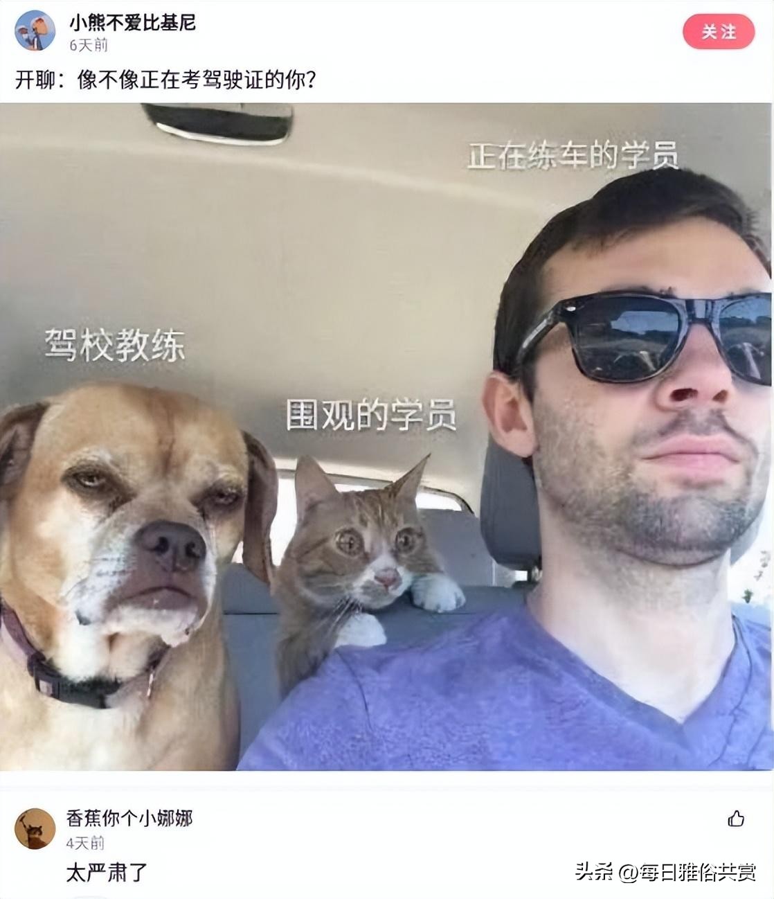 盘点那些“盐选神回复”,盐选神回复