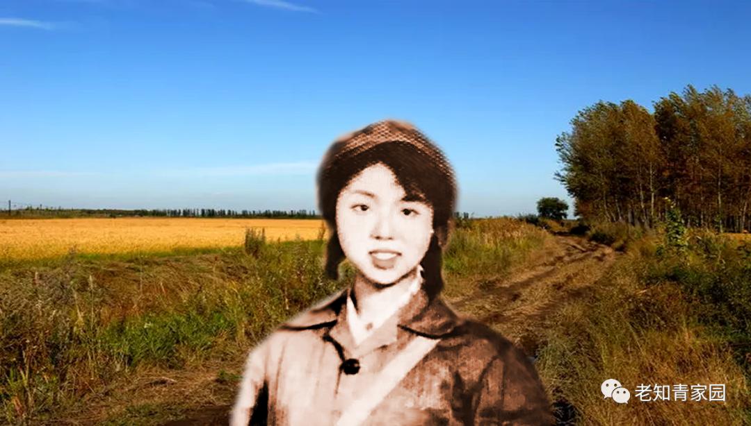 我的苦乐人生——下乡九年的蹉跎岁月