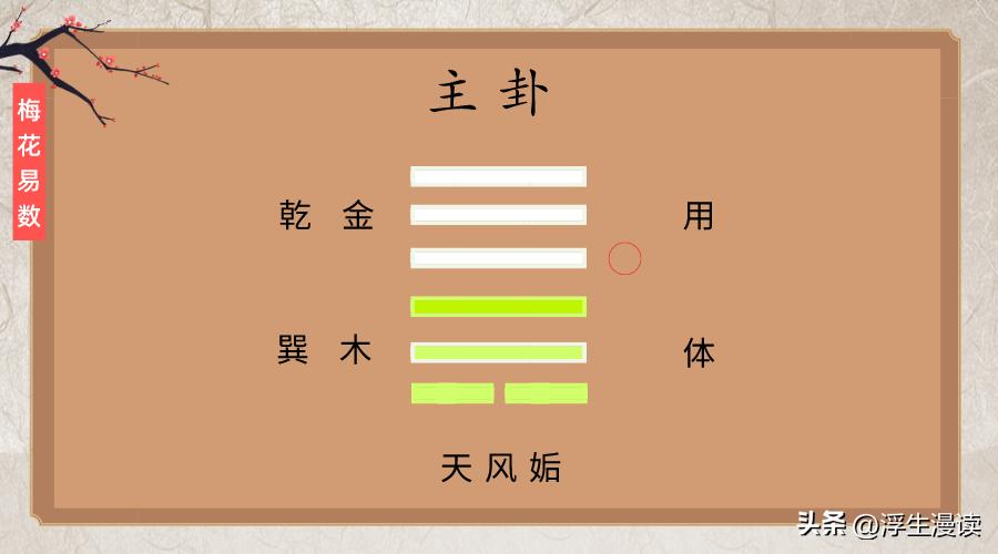 梅花易数太白,梅花易数看面相