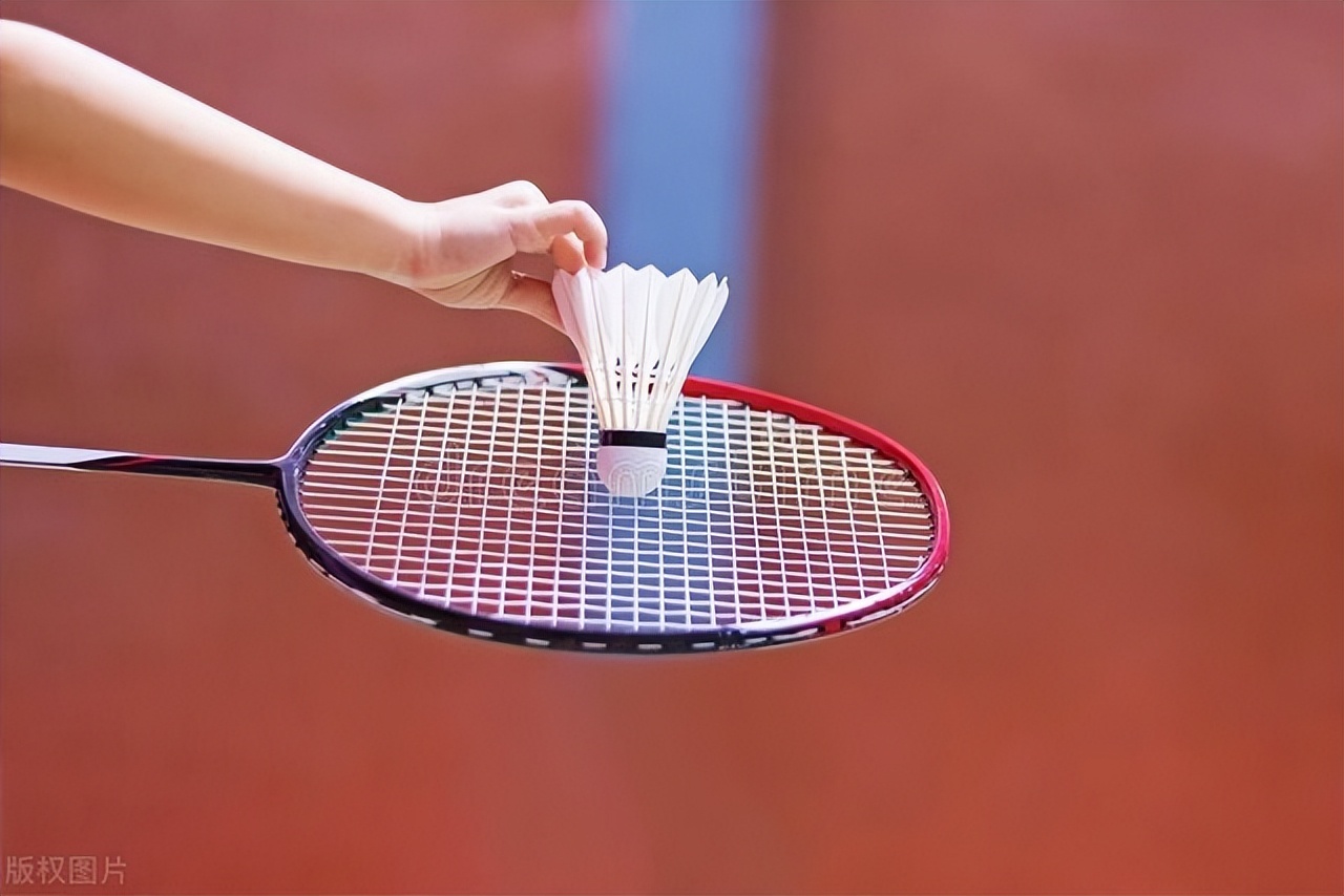 羽毛球拍哪个品牌性价比高,世界羽毛球服品牌排行前十
