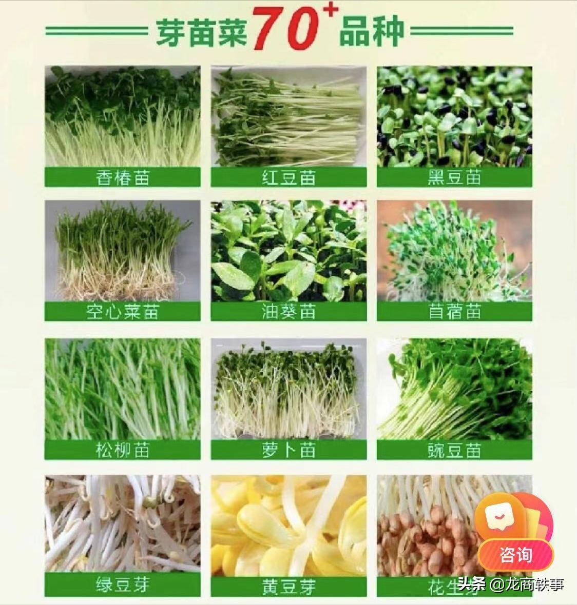 专业致力于青饲料植物工厂的科技创新，解决了养殖户大问题