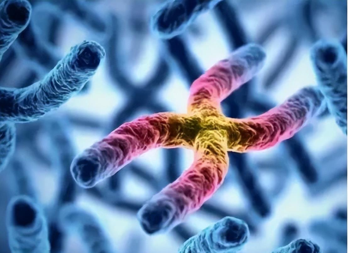 为什么有的人没有下颚毛,为什么有的人没有腋下毛