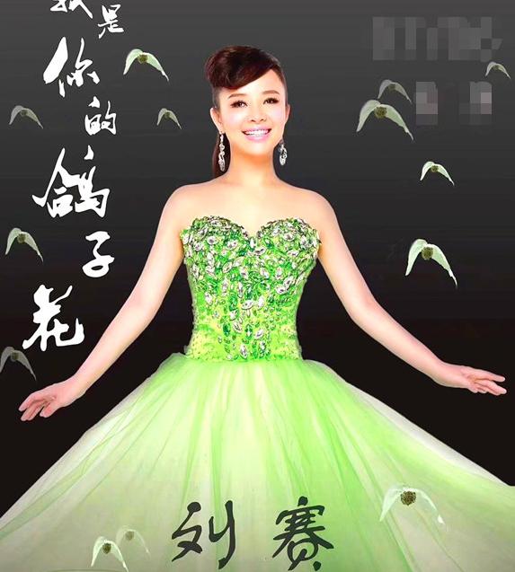 盲人歌手刘赛有孩子没有,盲人歌手刘赛家庭情况