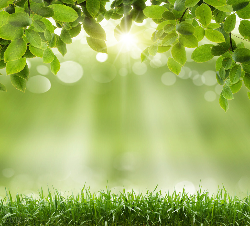 意境最美的古诗词春,50句绝美的春天诗