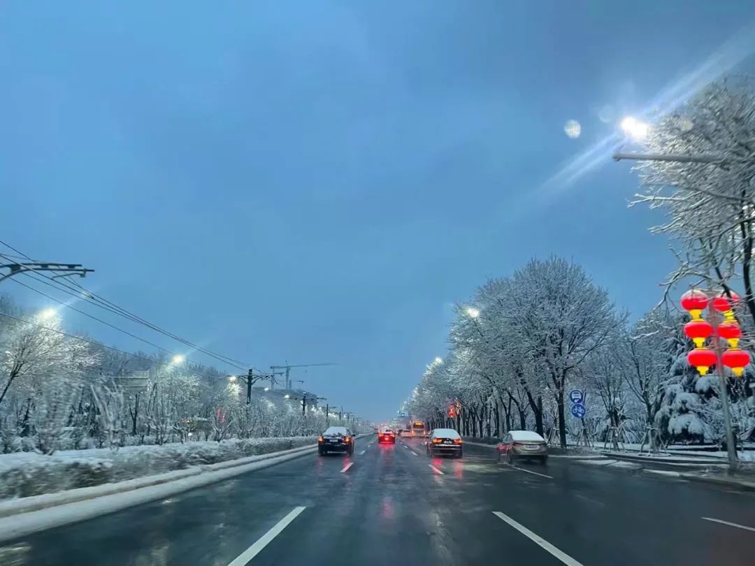 春雪初霁,春雪初霁杏花正芳月上夜吟