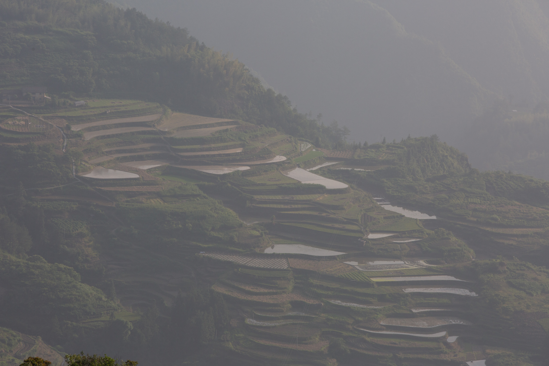 什么是raw格式和jpg格式,什么是raw格式拍摄