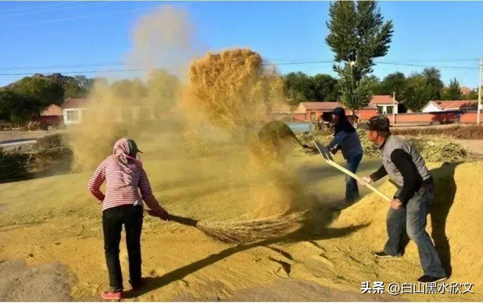 农村孩子的苦日子,90年代的农村孩子有多苦