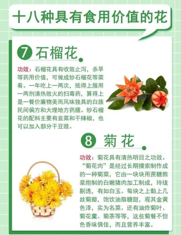 18种最漂亮的花草,18种必养的花