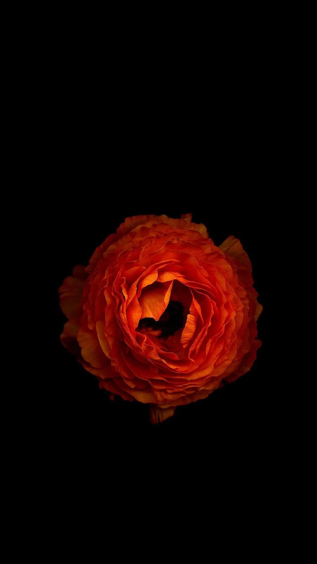 最美的光背景图片,超好看的夜晚蓝色的背景图