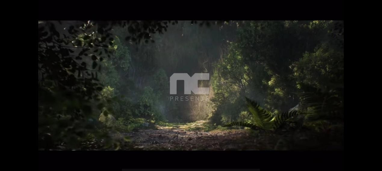 王权与自由闪退,王权与自由游戏内怎么显示延迟