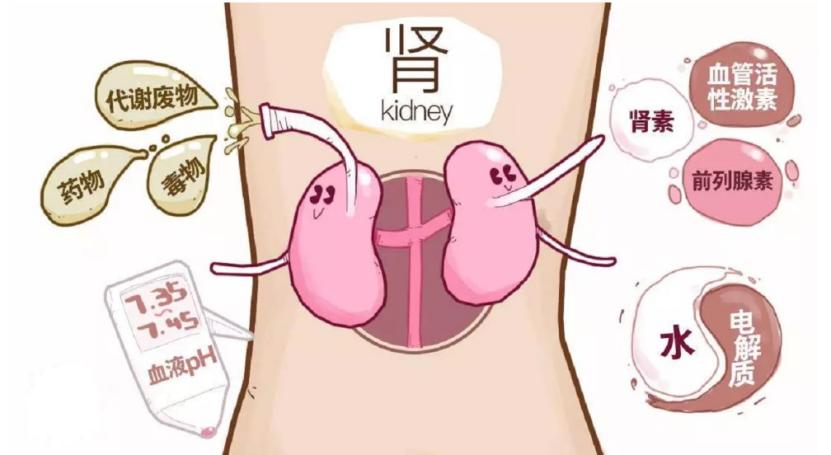 拔火罐吸出来的是湿气还是毒素,拔火罐出来的瘀血是什么样