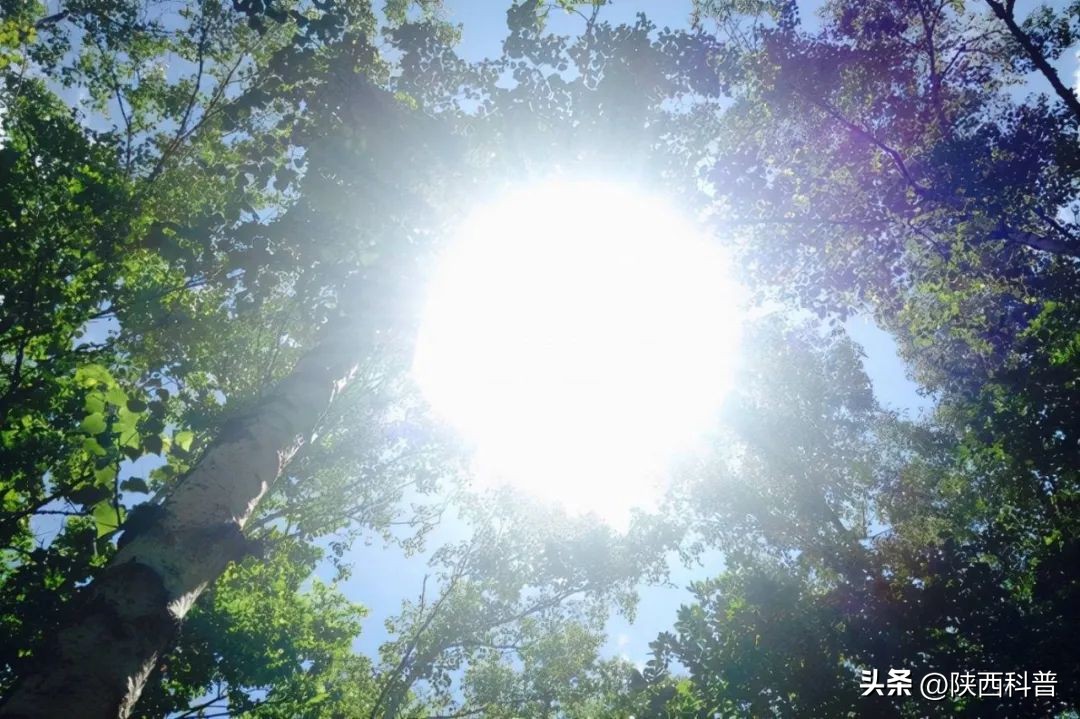 鼻子上的黑头的正确处理方法,鼻子上的黑头大家都是怎么解决的