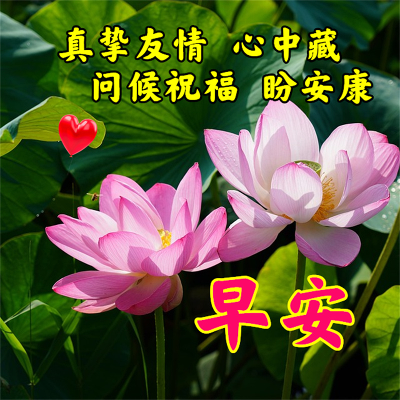 周末早安简单一句话和图片,周一早安最美的句子图片