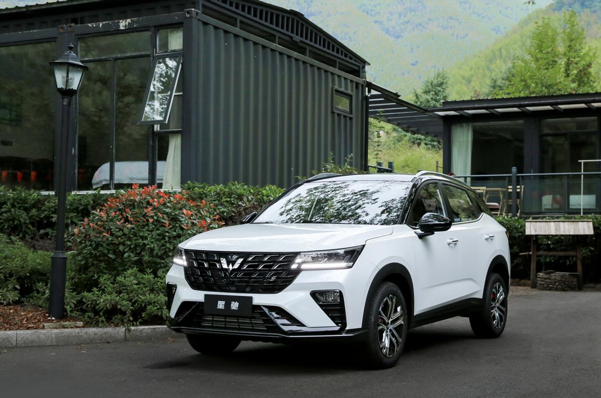 新能源车纯电车推荐车型,年轻人第一辆新能源车纯电车推荐