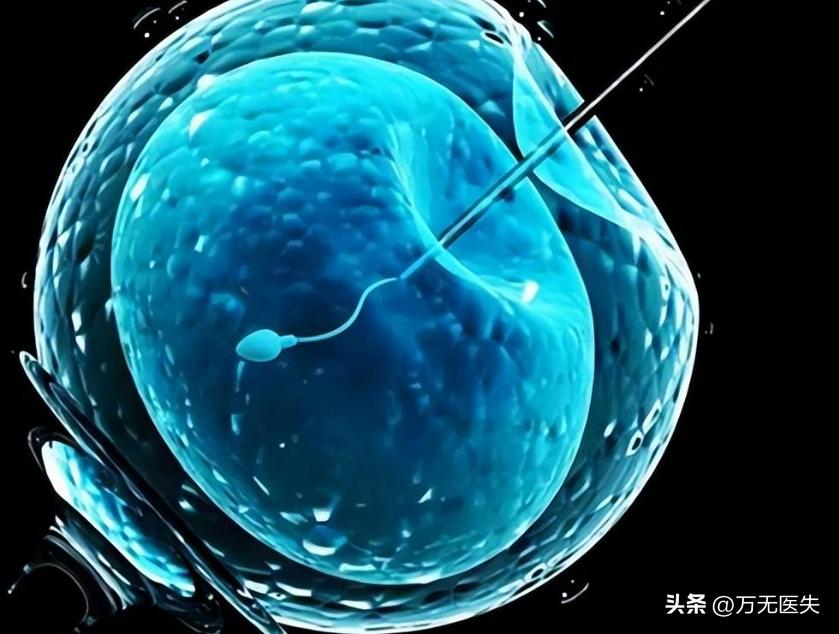 那些进入女性体内，没有成功“受精”的精子，最后都怎样了？