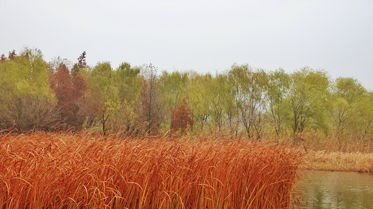 在江苏的“绿林仙海”中，寻找侠气与柔情