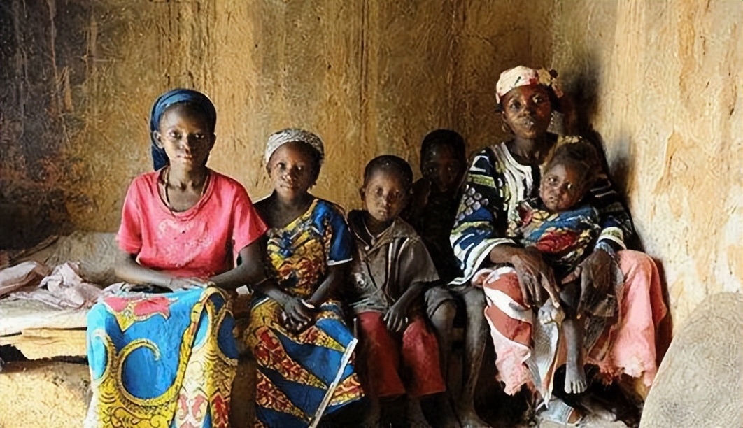 帝国缝合怪、贫穷天花板、*变政**老熟人——动荡的尼日尔