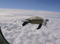 win10做个系统需要多久,win10做系统恢复