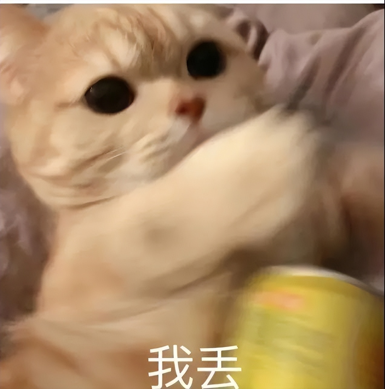 白乳胶是无毒无害的么,白乳胶到底能不能用啊