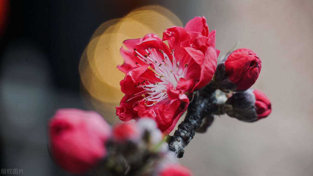 为什么两个人总是关系不好,两个人关系不好说明什么