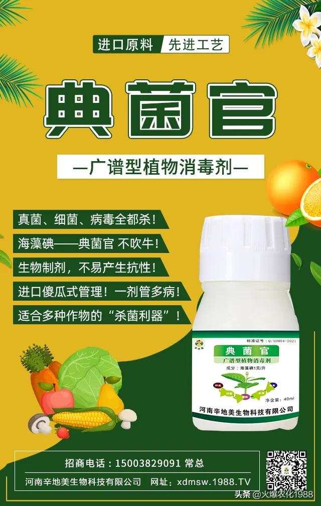 杀灭各种病原菌及微生物,如何杀真菌细菌病毒