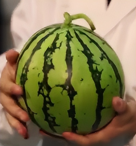 骑摩托戴头盔什么样的头盔最安全,骑乘摩托车戴好安全头盔