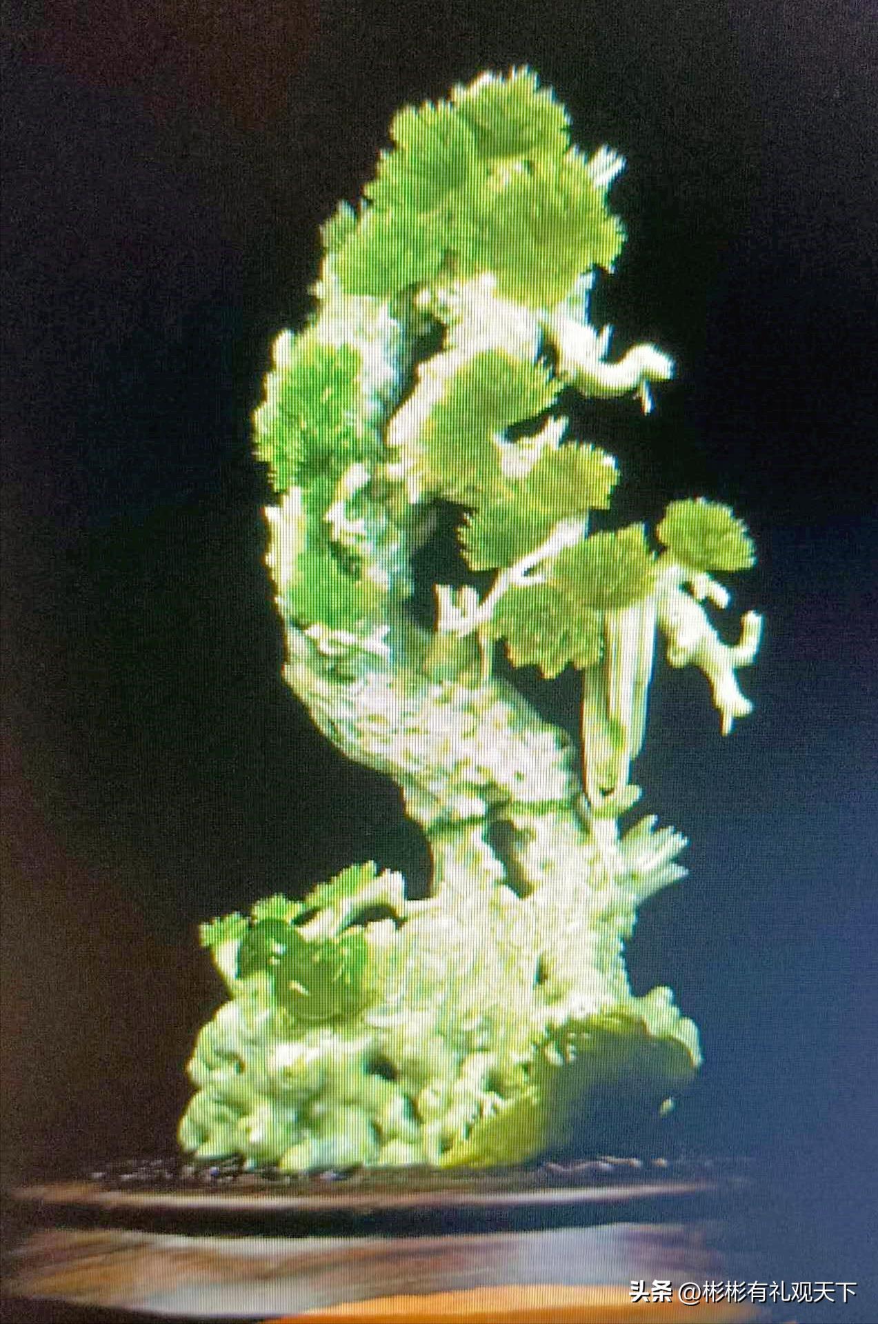 中国四大名玉岫玉收藏品,岫玉四大名玉直播