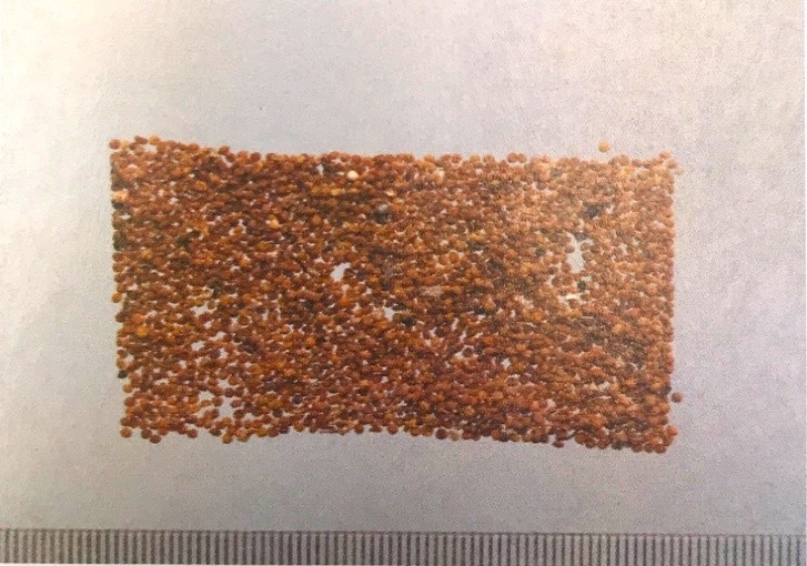 《药你明白》专栏:每天学一味中药:菟丝子