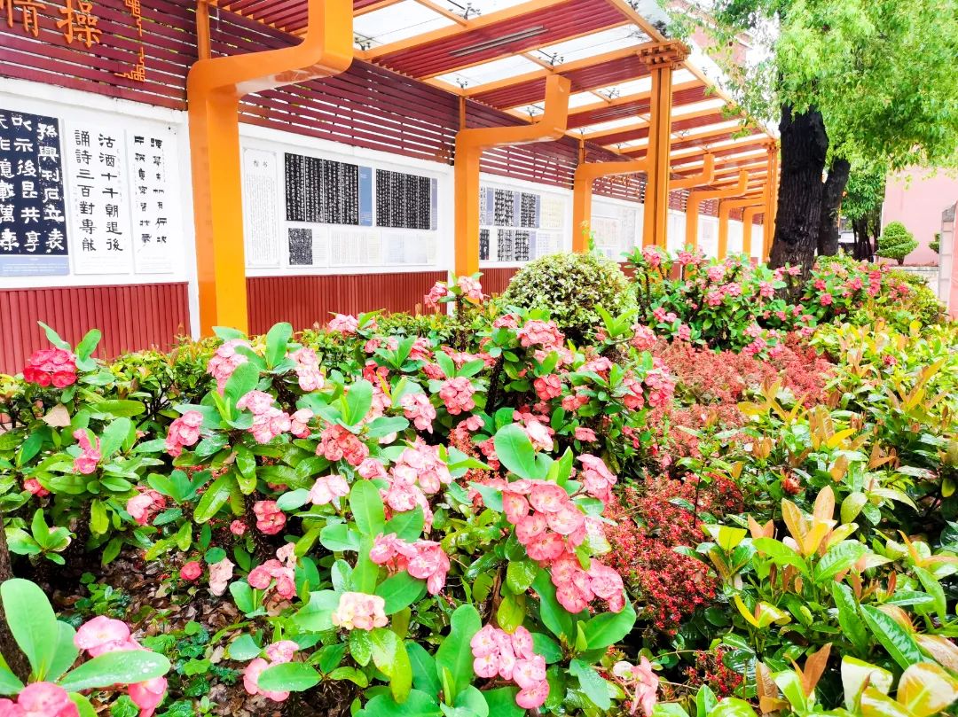 石碣四海学校和东盈学校哪个好,石碣四海学校2023年学费多少钱