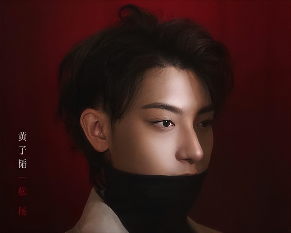 流量是什么？《春日暖阳》不见得敢演，希望黄子韬可以成为松杨