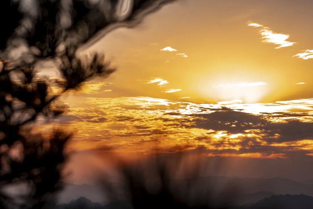 洛阳网红打卡地推荐,洛阳又一个网红打卡地