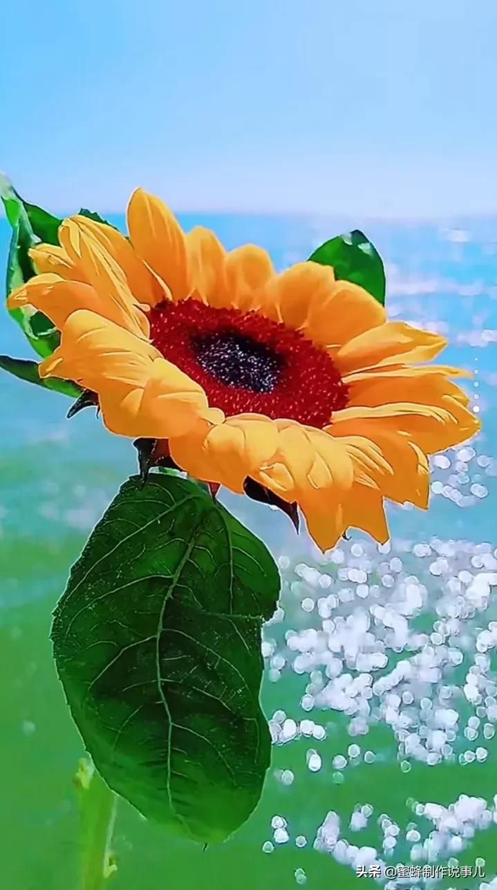 鸟语花香百花争艳让人陶醉,宁静祥和鸟语花香