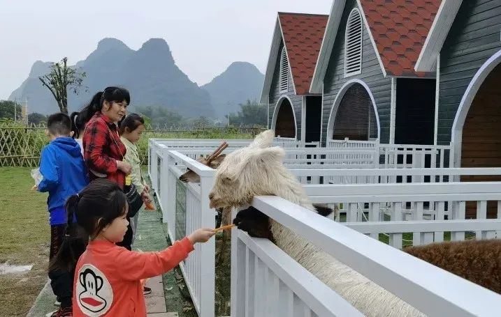 遇龙河里遇见美景,遇龙河每一段的风景