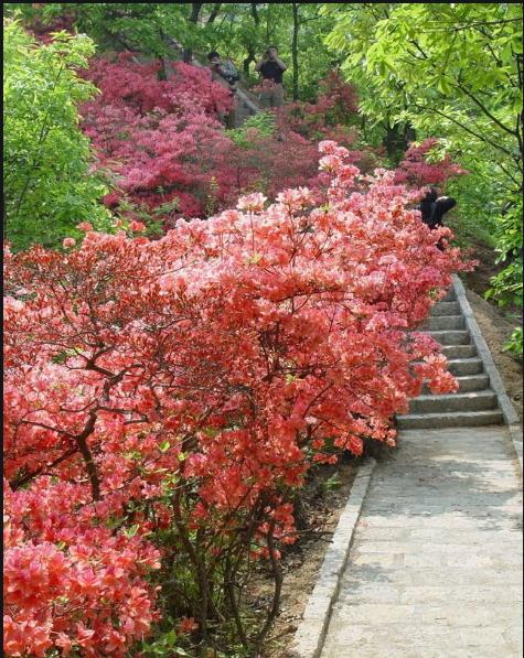 各地旅游景点推荐大全,旅游攻略全国景点大全