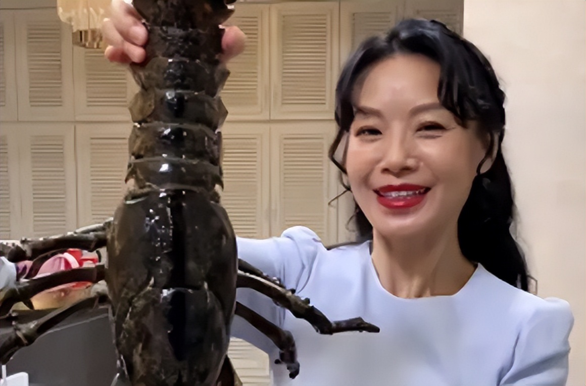 cici姐是赌王三太侄女吗,cici是赌王三太陈婉珍的侄女吗