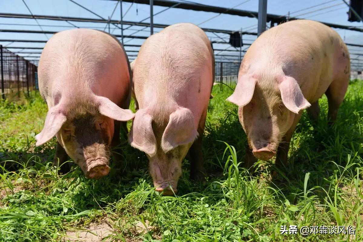 裸聊被骗5万,大学生裸聊几分钟被骗2万多