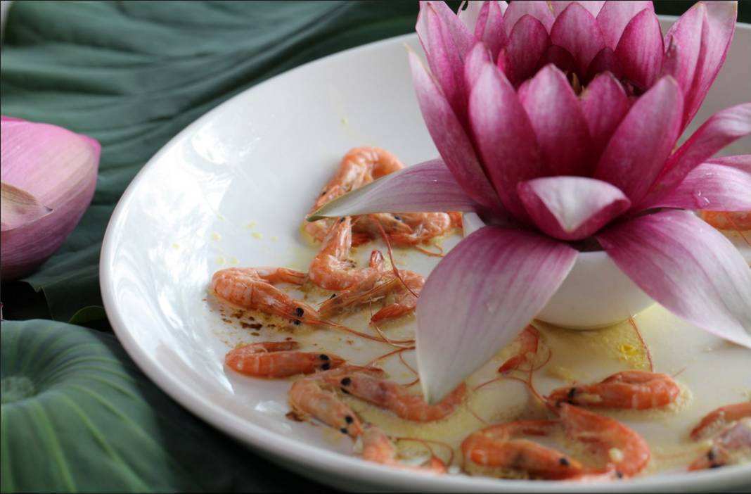 种莲藕能赚多少钱,90后种莲藕发家致富