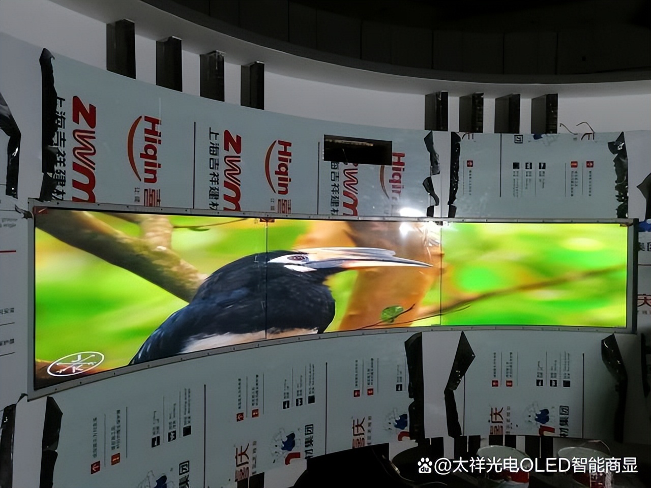 oled产业链前景,oled产业发展前景