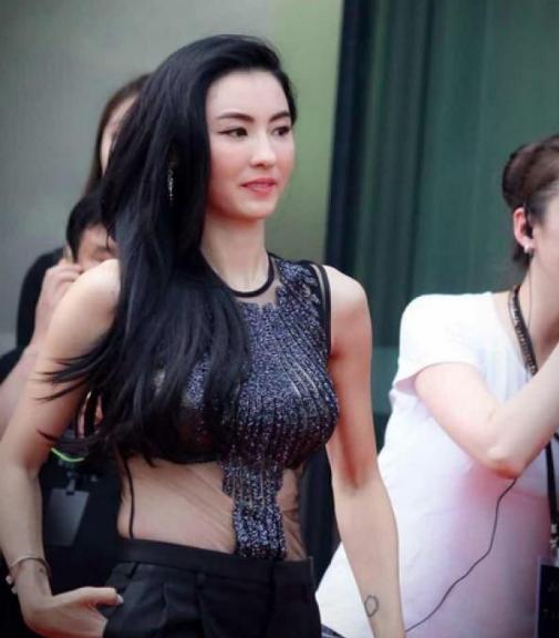 张柏芝被狗咬伤事件,张柏芝被狗咬伤满脸痛苦不断尖叫