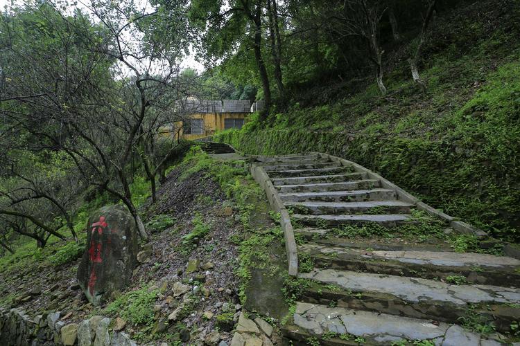 广东旅游值得去的,广东潮汕旅游推荐城市