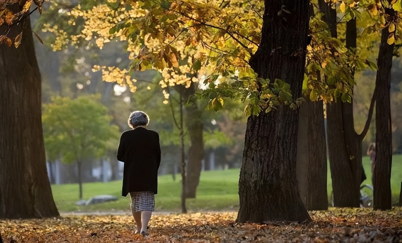 人过五十不教子,人到五十子女还是不求上进怎么过