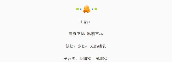 有关子宫内膜炎的病历模板,猫咪子宫炎的治疗方案